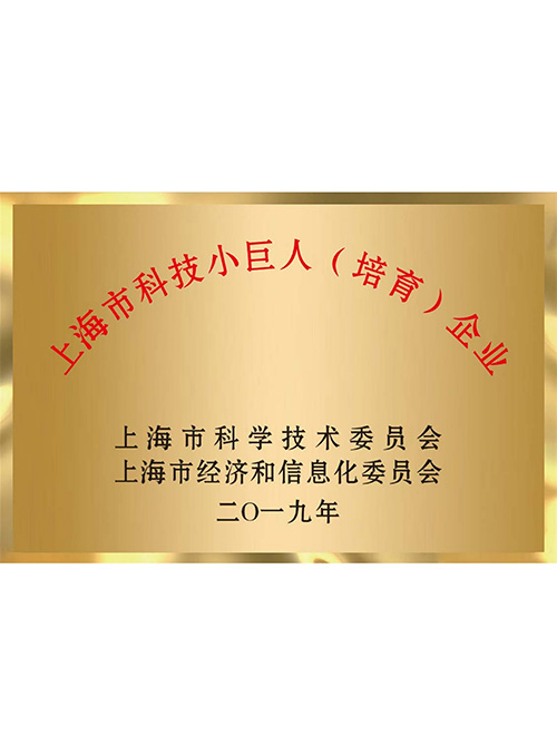 上海市科技小巨人（培育）