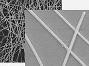 COVID-19疫苗開發和潛在的納米材料前進道路